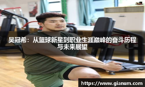 吴冠希：从篮球新星到职业生涯巅峰的奋斗历程与未来展望