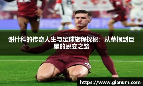 优贝娱乐官网入口